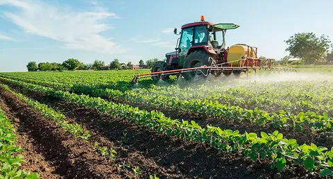 Agricultura. (Archivo)