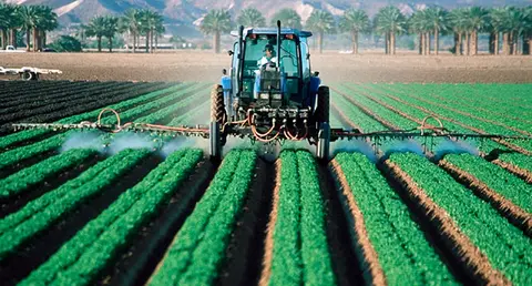 Agricultura. (Archivo)