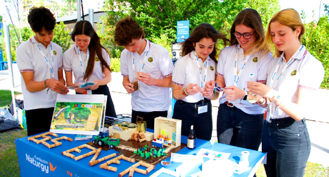 Certamen Efigy_Fundaci&oacute;n Naturgy
