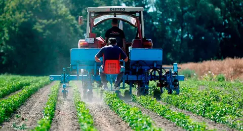 Imagen de un agricultor. (Archivo)