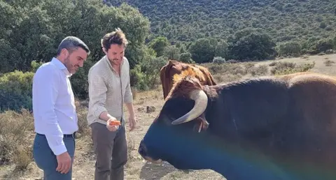 Vaca
