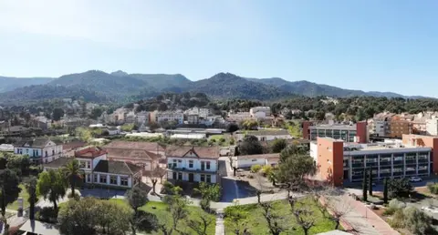imida