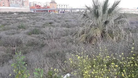 Terrenos de El Hond&oacute;n.