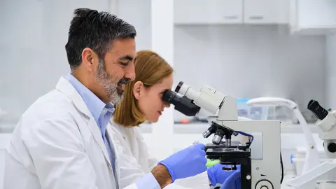 Investigaci&oacute;n cient&iacute;fica. (Archivo)