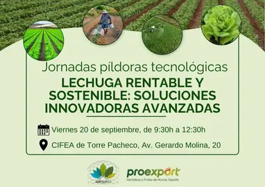 Cartel de la jornada 'P&iacute;ldoras Tecnol&oacute;gicas - Lechuga Rentable y Sostenible: Soluciones Innovadoras Avanzadas'.