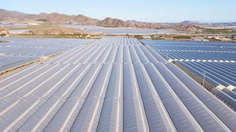 Ejemplo de innovaci&oacute;n y agricultura sostenible. (Fidedigno)