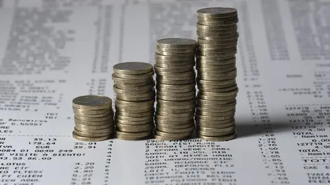 Imagen ilustrativa de dinero. (Imagen de Alex Barcley en Pixabay)
