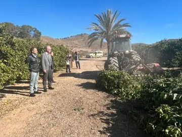 Imagen de trituraci&oacute;n de podas (Ayuntamiento de Murcia)
