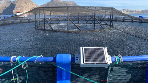 Tecnolog&iacute;a SICA implementada en viveros de acuicultura. (CTN)