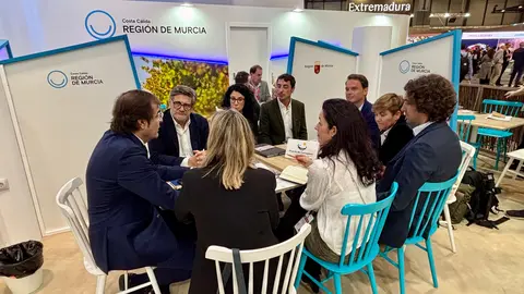 A la izquierda, el presidente de la APC, Pedro Pablo Hern&aacute;ndez, reunido con agencias de excursiones para impulsar la participaci&oacute;n en su evento 'Cartagena Cruise Days'. (Puerto de Cartagena)