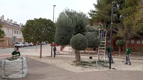 Un programa experiencial de jardiner&iacute;a subvencionado por el SEF se desarrollar&aacute; en el Parque de la Antena. (Ayuntamiento de Las Torres de Cotillas)