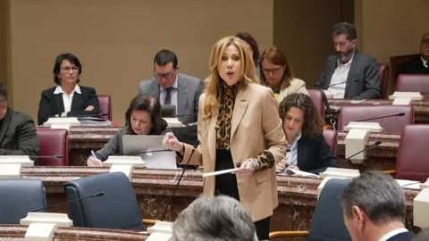 La consejera de Empresa, Empleo y Econom&iacute;a Social, Marisa L&oacute;pez Arag&oacute;n, durante su intervenci&oacute;n de este viernes en la Asamblea Regional. (CARM)