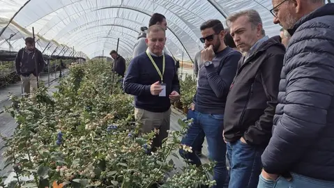 Juan Luis Jim&eacute;nez, de Orginalius, en unos cultivos. (Agritech Murcia)