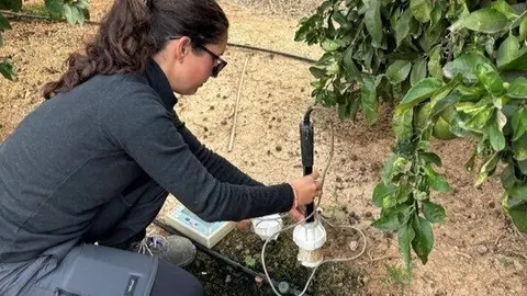 Imagen de la medida de la humedad del suelo durante el ensayo con agentes humectantes. (CARM)