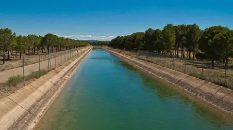 Canal del trasvase Tajo-Segura. (Asaja Murcia)
