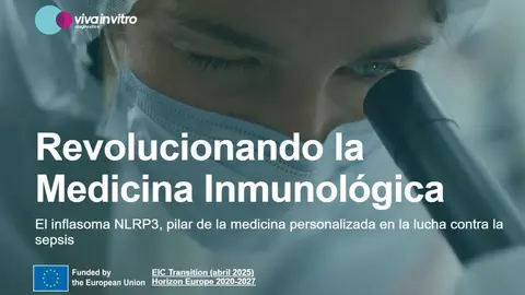 Imagen de la nueva web de Viva in Vitro.
