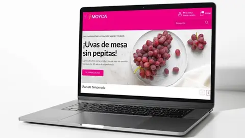Ecommerce de Moyca. (Portavoz)