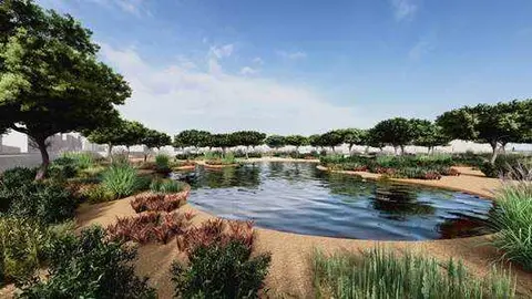 Proyecto de renaturalizaci&oacute;n de la Rambla Sur de Torre Pacheco. (Ayuntamiento de Torre Pacheco)