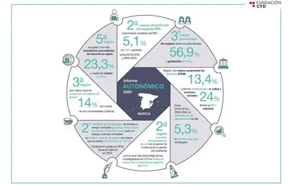 Infograf&iacute;a del sistema universitario regional. (Fundaci&oacute;n CYD)