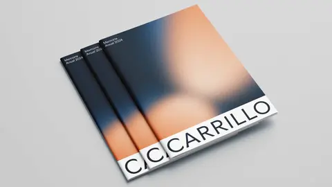 Nuevo Universo de Marca de Carrillo Asesores. (Grupo Carrillo)