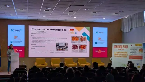 Imagen de la jornada. (CTNC)