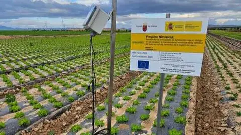 Ensayo del proyecto Nitrosfera en Agromediterranea. (Proexport)