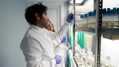 Investigadores de la UMU. (UMU)