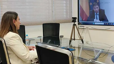 Imagen de la consejera Sara Rubira en la Conferencia Sectorial, que se ha celebrado por videoconferencia.&nbsp;(CARM)