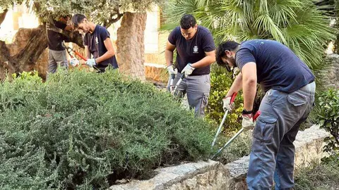 Trabajadores en Archena. (Ayuntamiento de Archena)