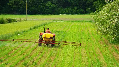 Un trabajador en el campo. (Freepik)