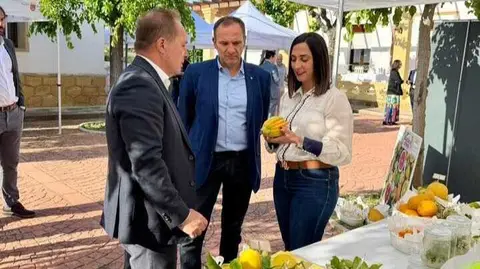 Imagen de la consejera Sara Rubira durante el desarrollo del acto de presentaci&oacute;n de los proyectos FEDER del Imida. (CARM)