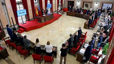 Sesi&oacute;n extraordinaria del Pleno del ayuntamiento de Murcia. (Ayuntamiento de Murcia)