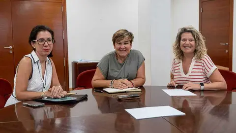 Imagen de la mesa de trabajo. (Ayuntamiento de Cartagena)
