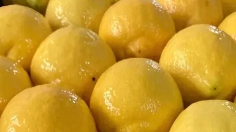 Limones. (Asaja Murcia)