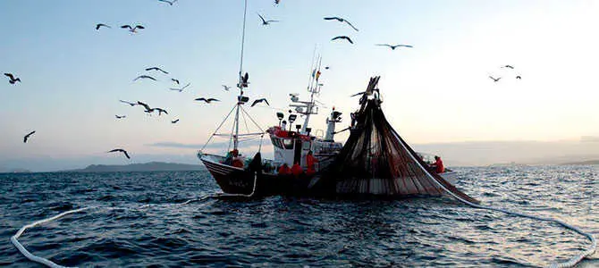8464_190120pesca
