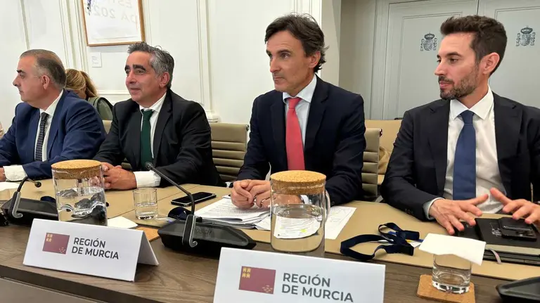 El consejero de Fomento e Infraestructuras, Jorge Garc&iacute;a Montoro, durante la Conferencia Sectorial de Vivienda y Agenda Urbana. (CARM)