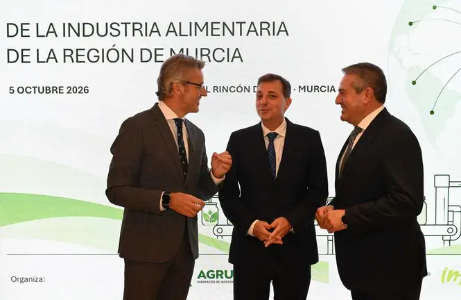 20261005 plan de accion 1