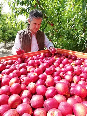 /images/05_2019/9572_190514ciruela2.jpg