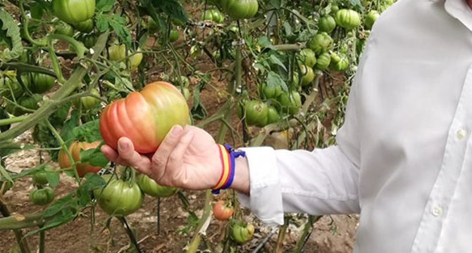 4_190520ecotomate