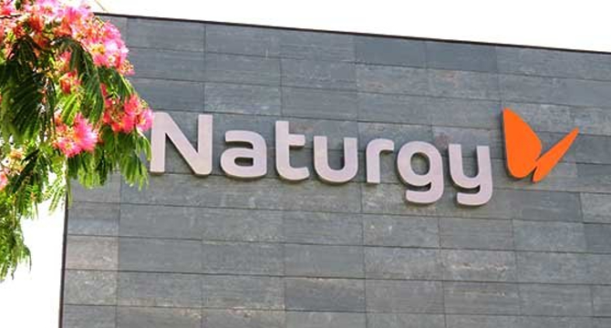 2132_naturgy-2