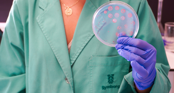 Symborg Biotecnolog&iacute;a Agr&iacute;cola