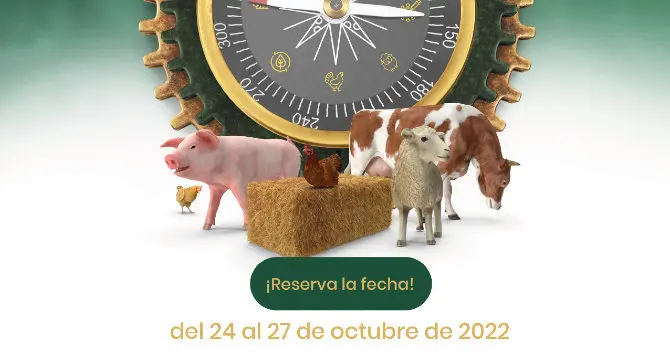 2022101917304220615