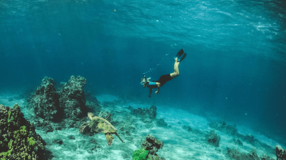  Maldivas: el destino ideal para los amantes del buceo 