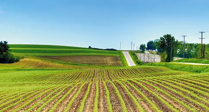 5761_211227sectoragro