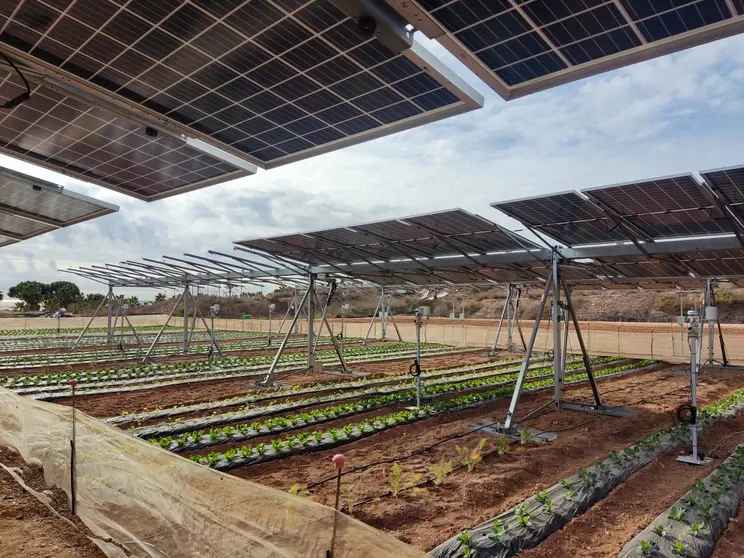 20240215 Agrovoltaico