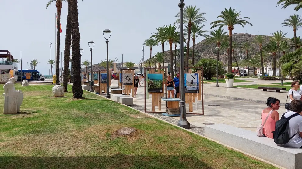 Imagen de la exposici&oacute;n 'Siete a&ntilde;os de proyectos para impulsar la sostenibilidad de la pesca y acuicultura' en Cartagena.