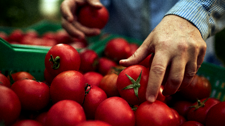 Alvalle celebra el D&iacute;a Mundial del Gazpacho con respeto y tradici&oacute;n
