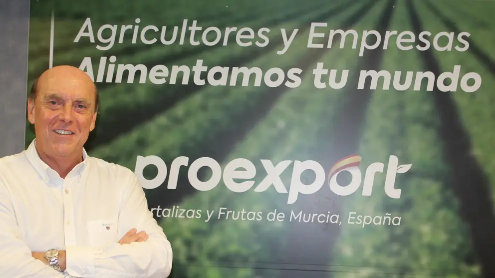 Pedro Alfonso Garre, presidente del comit&eacute; de Relaciones Laborales de Proexport.
