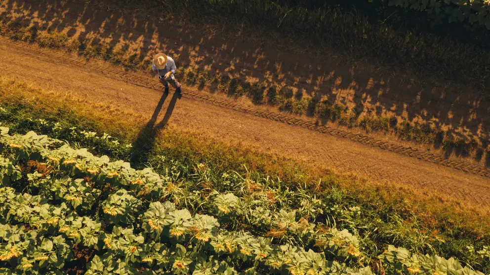 Trabajador en el campo. (Archivo)