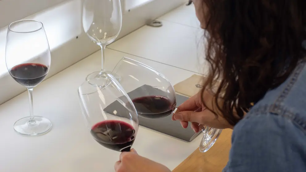 Imagen de la 'Vendimia Abierta' de Bodegas Luz&oacute;n.